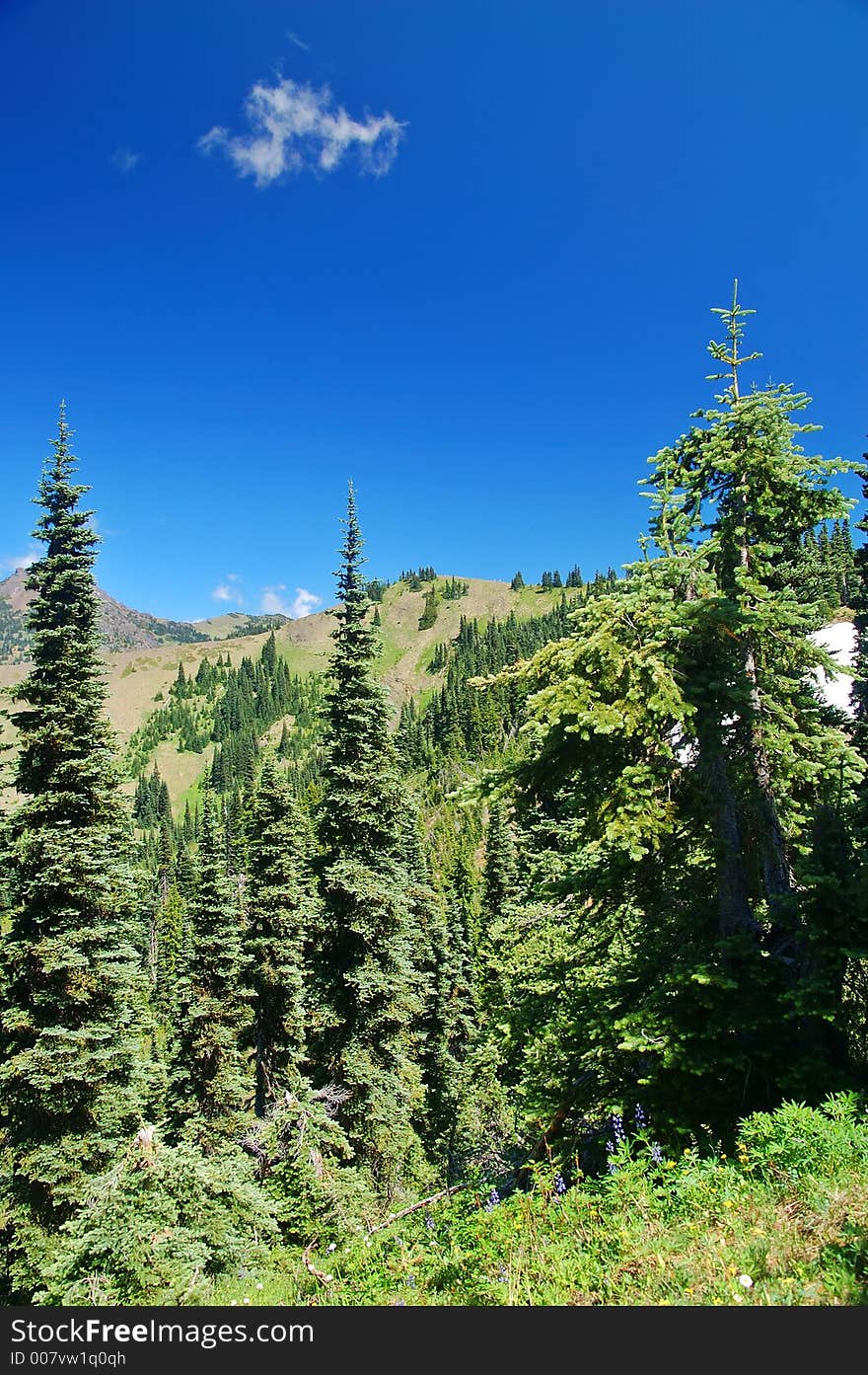 Mountain landscape