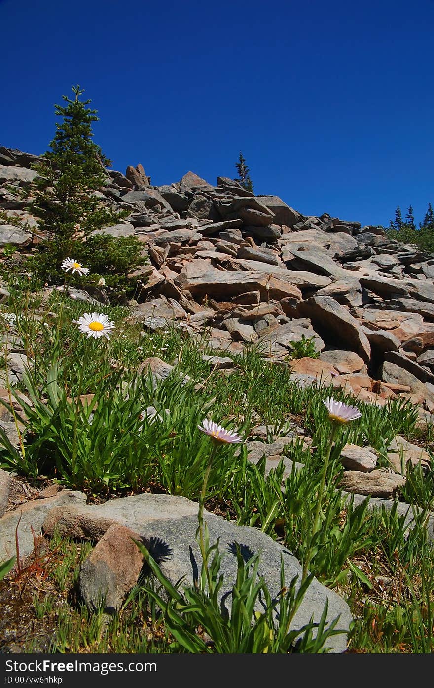 Mountain landscape