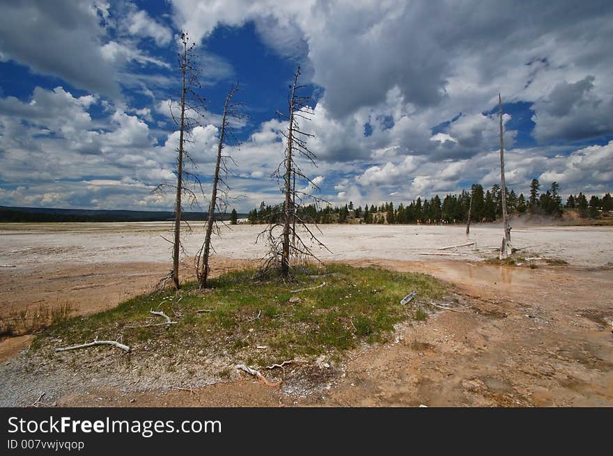 Yellowstone Geyser