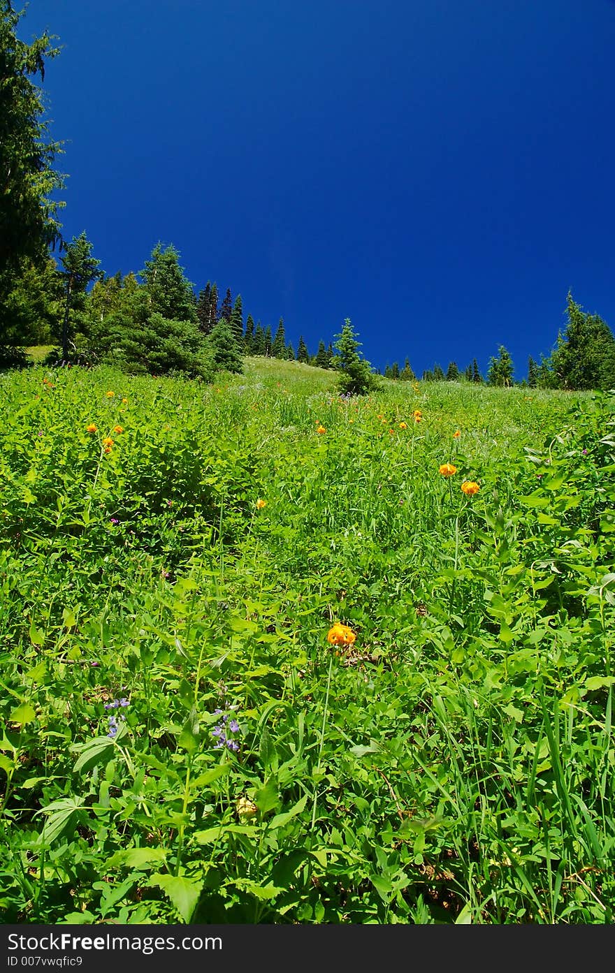 Mountain landscape