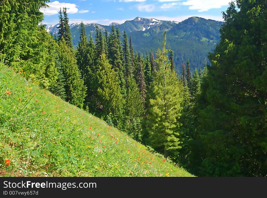 Mountain landscape