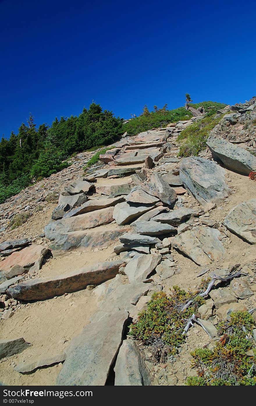 Trail in the mountains