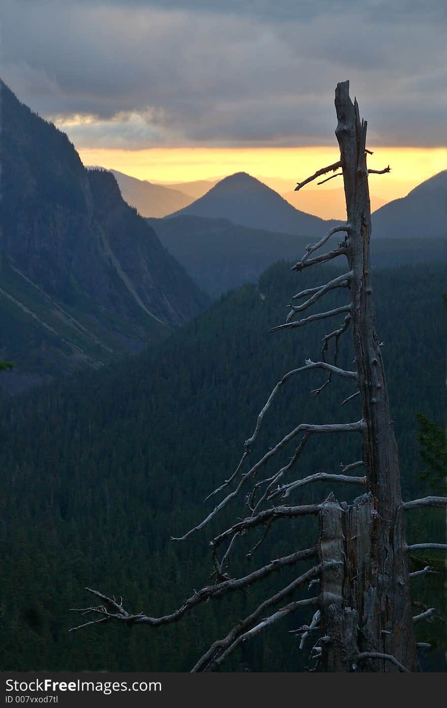 Mountain landscape