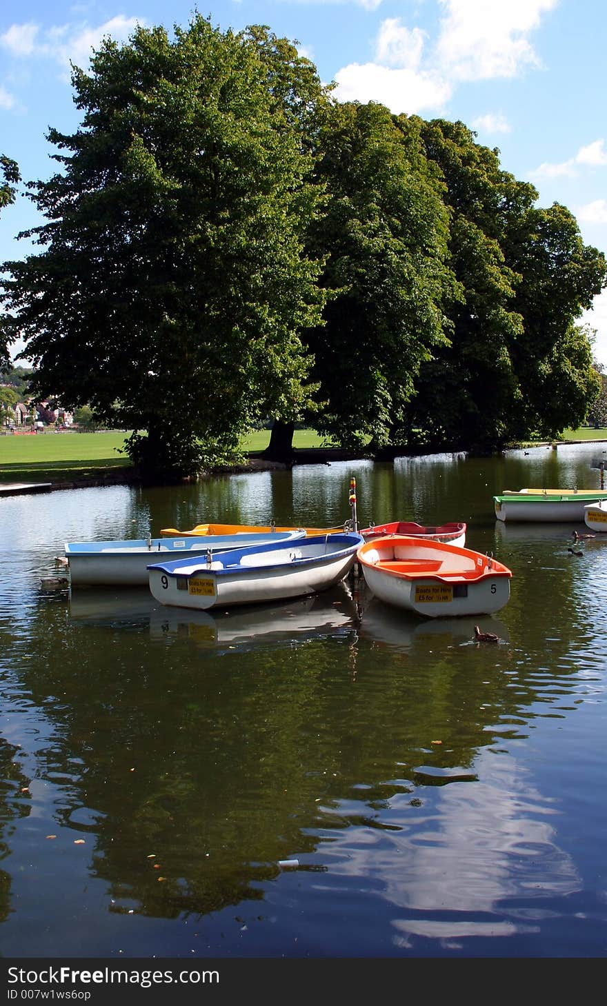 Rowing boats tied together in a municipal boating lake