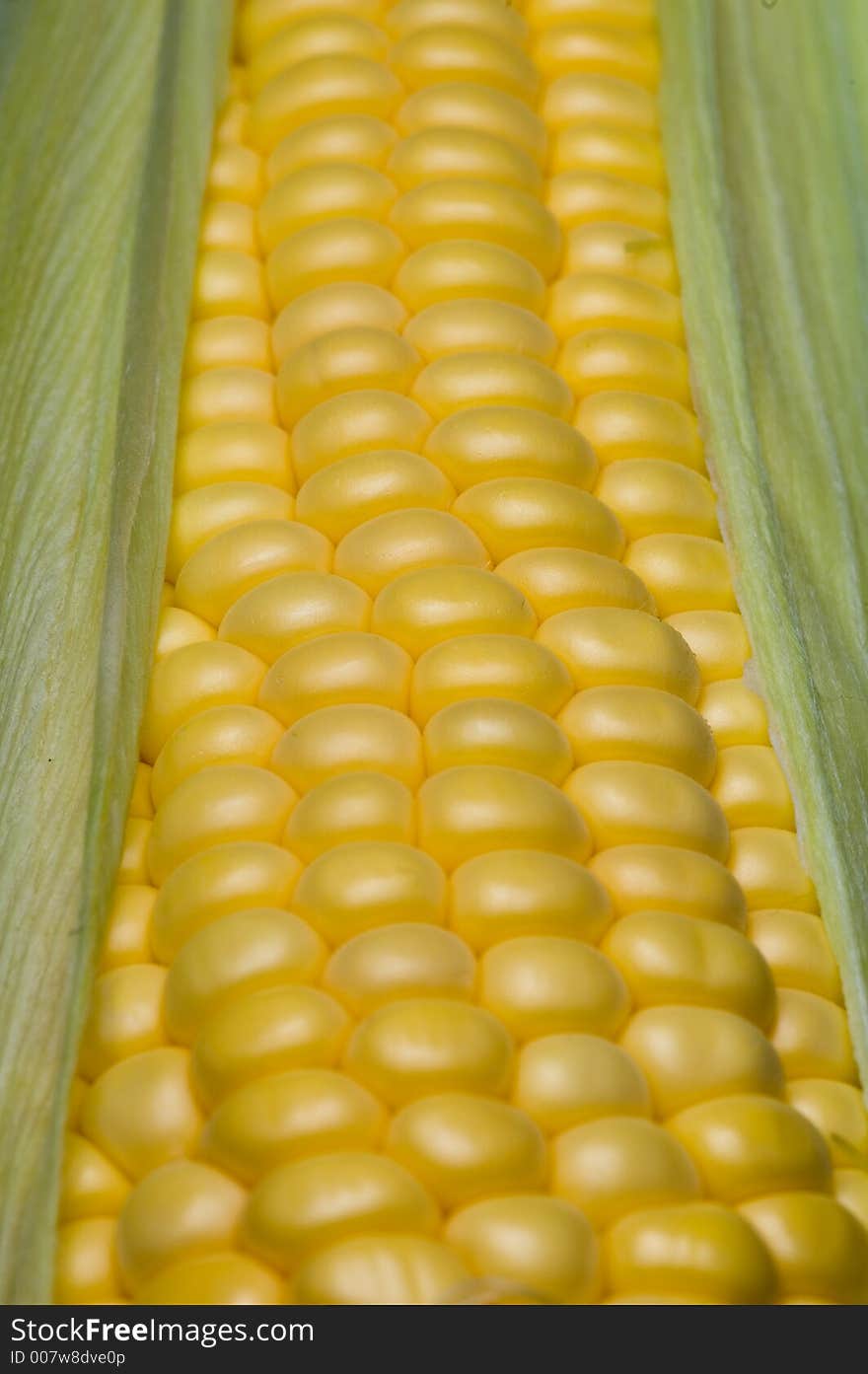 Corn On The Cob