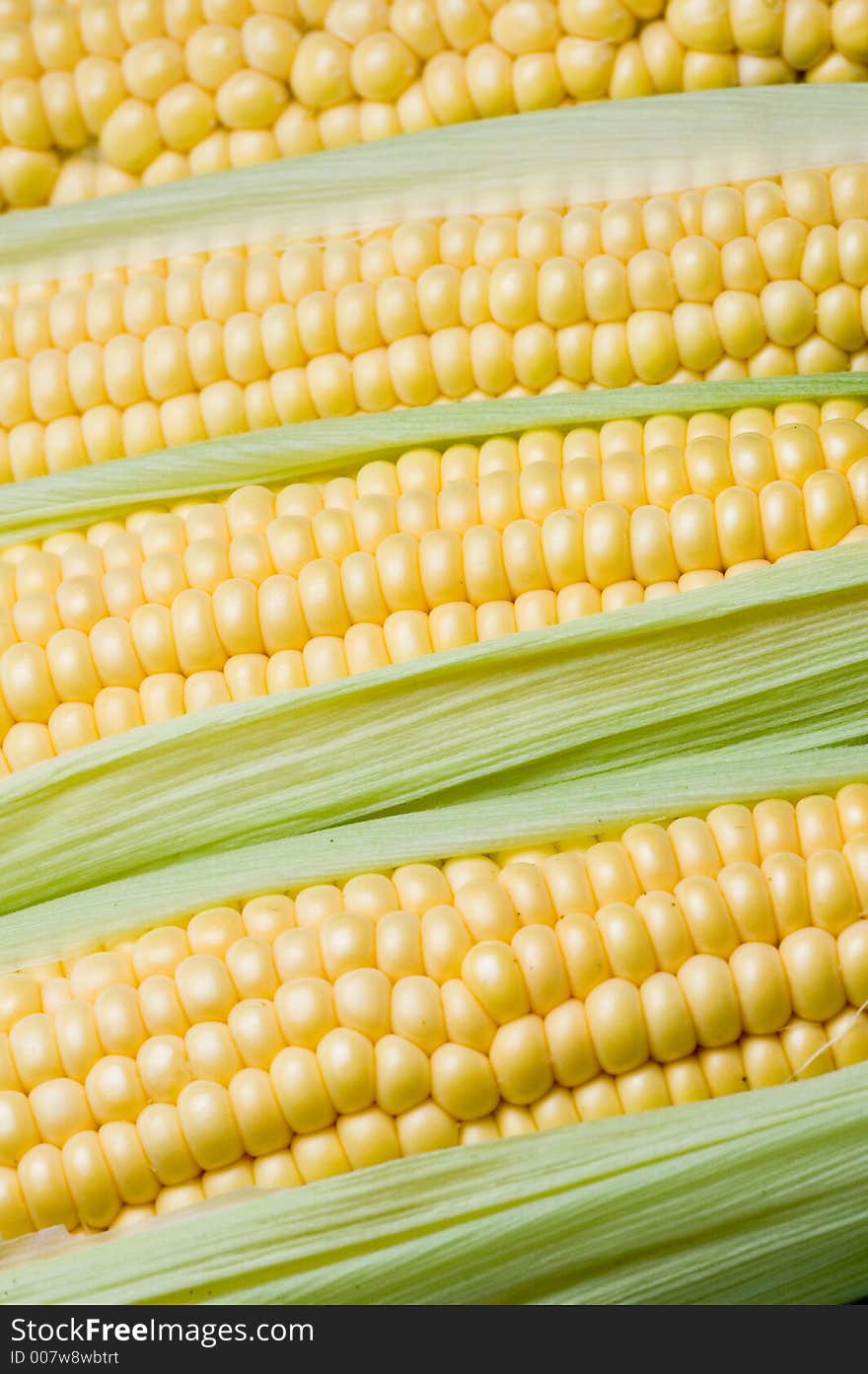 Corn On The Cob