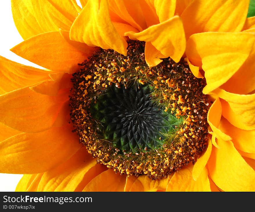 A sunflower made of paper. A sunflower made of paper