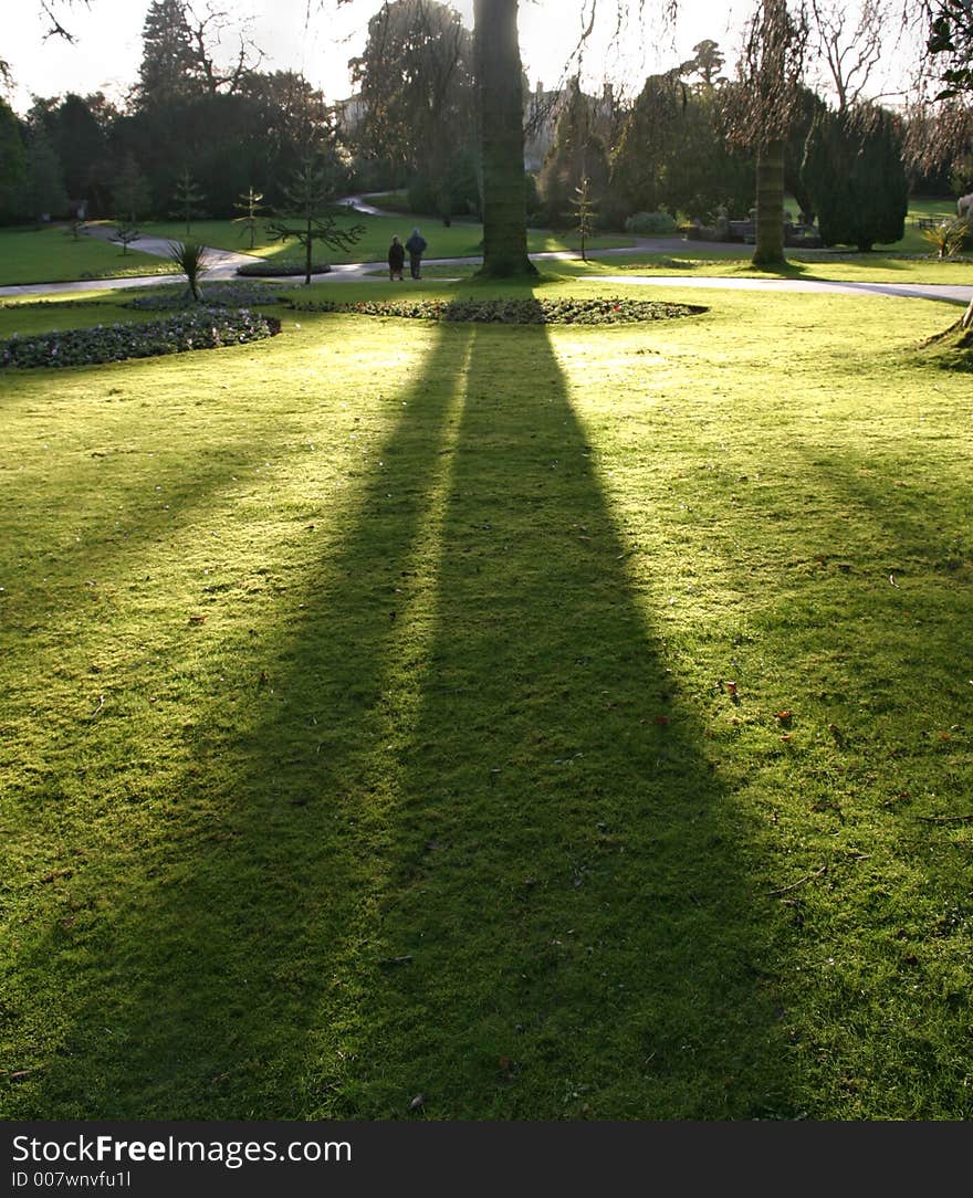 Taken in Sewerby Park on Winters afternoon. Taken in Sewerby Park on Winters afternoon