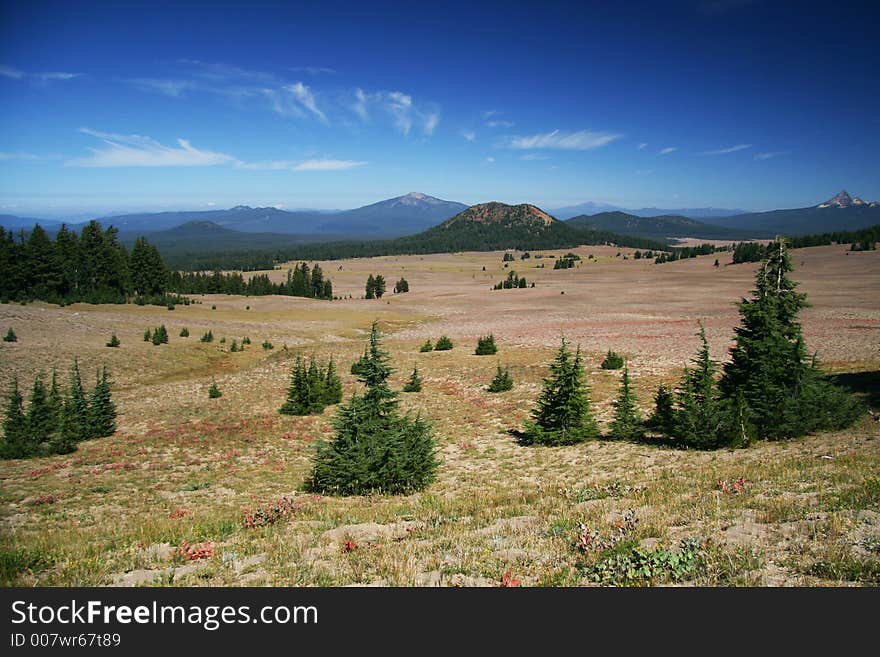 Grassland leads to mountains in distance