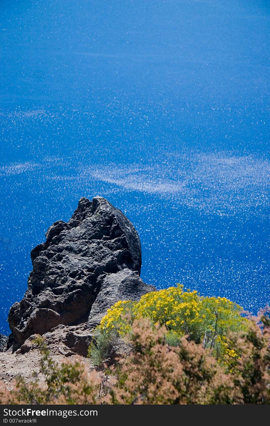 Blue sky, blue lake, and yellow flowers at Crater Lake National Park