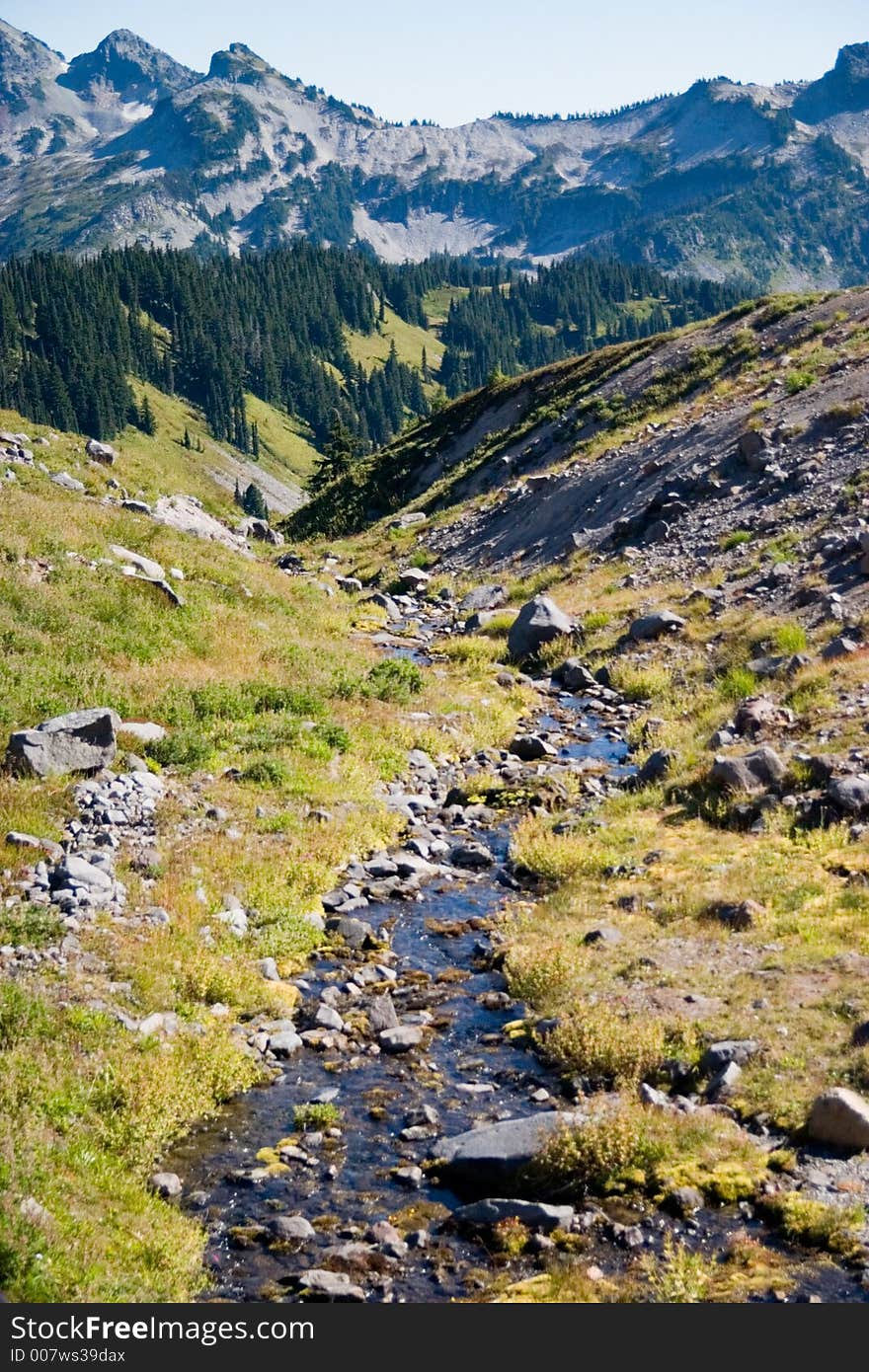 Stream of glacier melt along the hiking trail of Mt. Rainier.  Trees, grass and mountains in distance