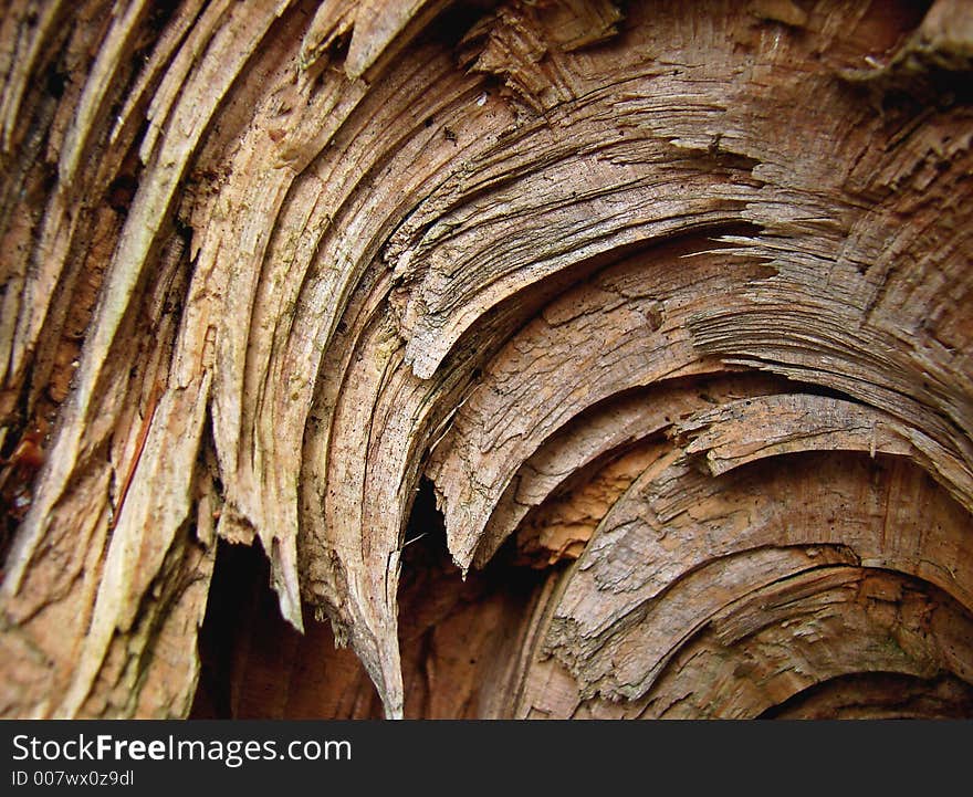 Decorative Bark