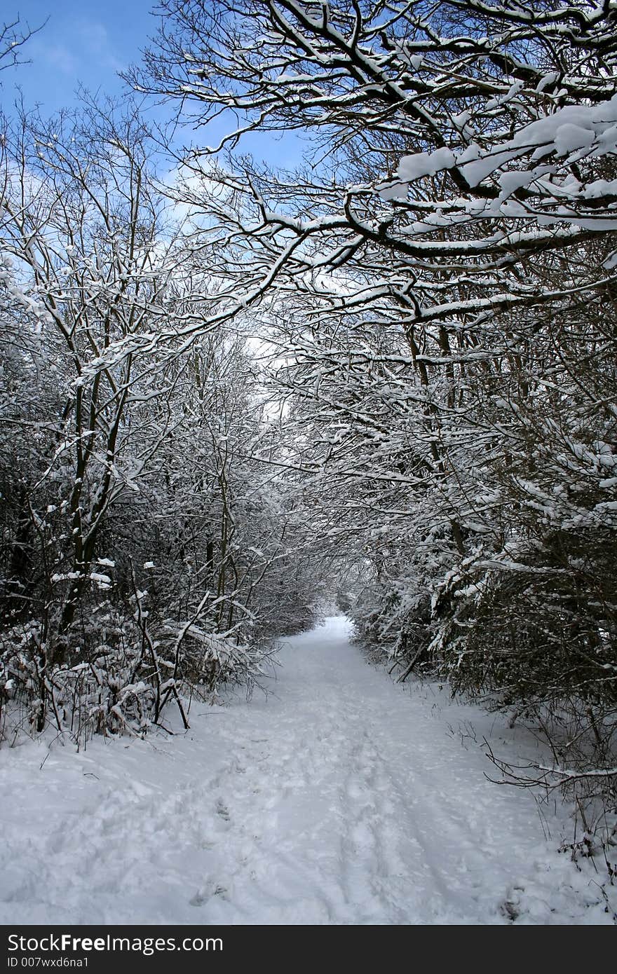 Winter-Landscape