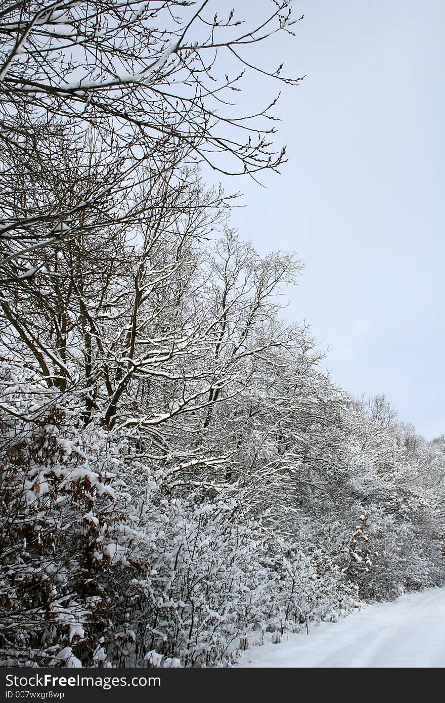 Winter-Landscape