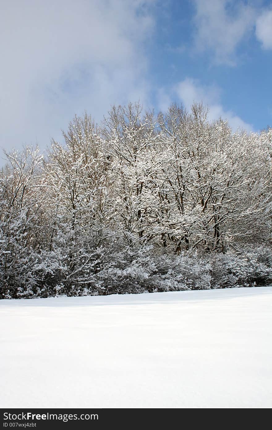 Winter-Landscape