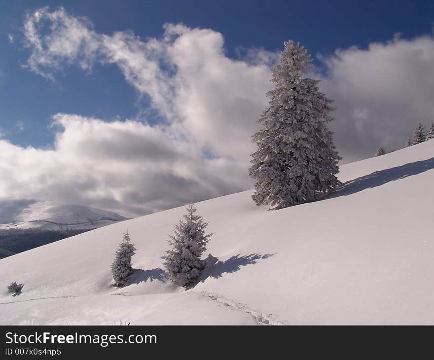 Winter in Ciucas Mountains: snow, tree, sky