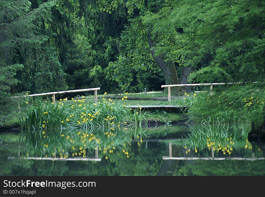 Bridge and plants reflecting in pond. Bridge and plants reflecting in pond