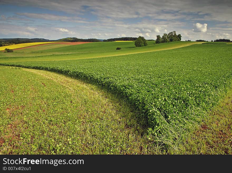 Green meadow and cloudy sky