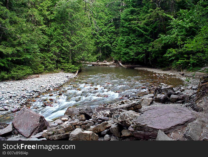 Mountain Stream through Forest