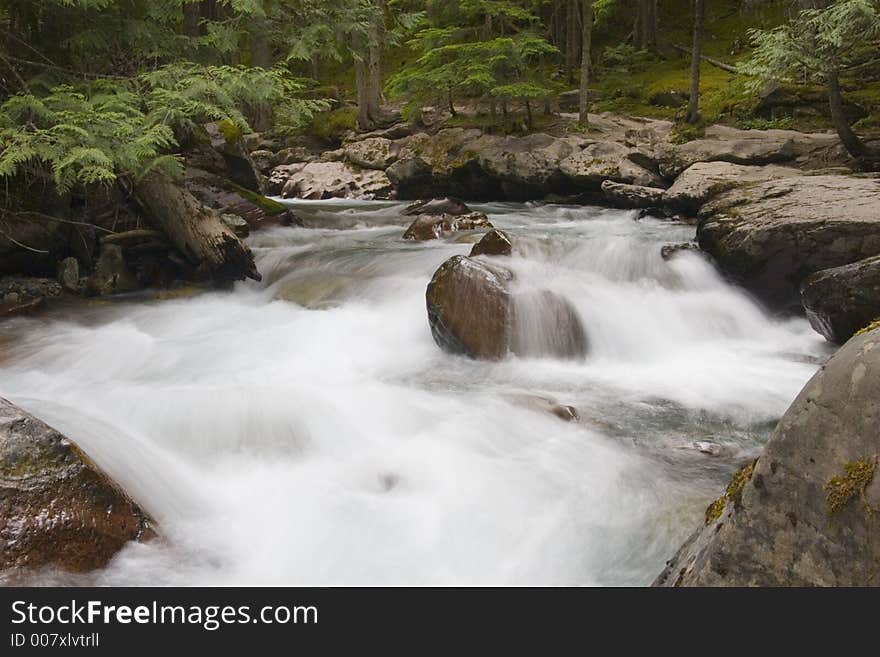 Picture of a tranquil running stream in Glacier National Park, Montana. Picture of a tranquil running stream in Glacier National Park, Montana