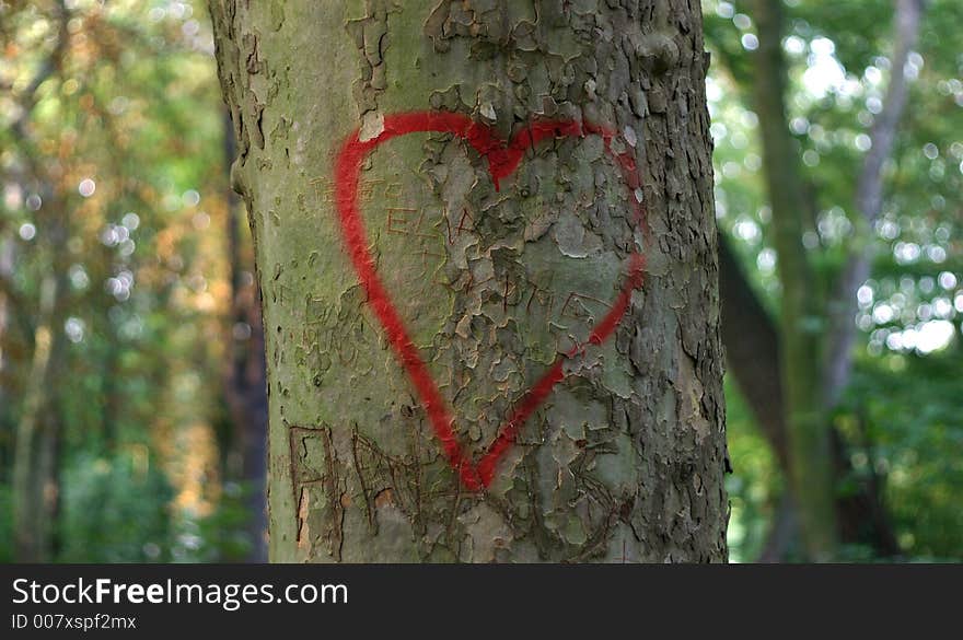 Reg heart on tree bark