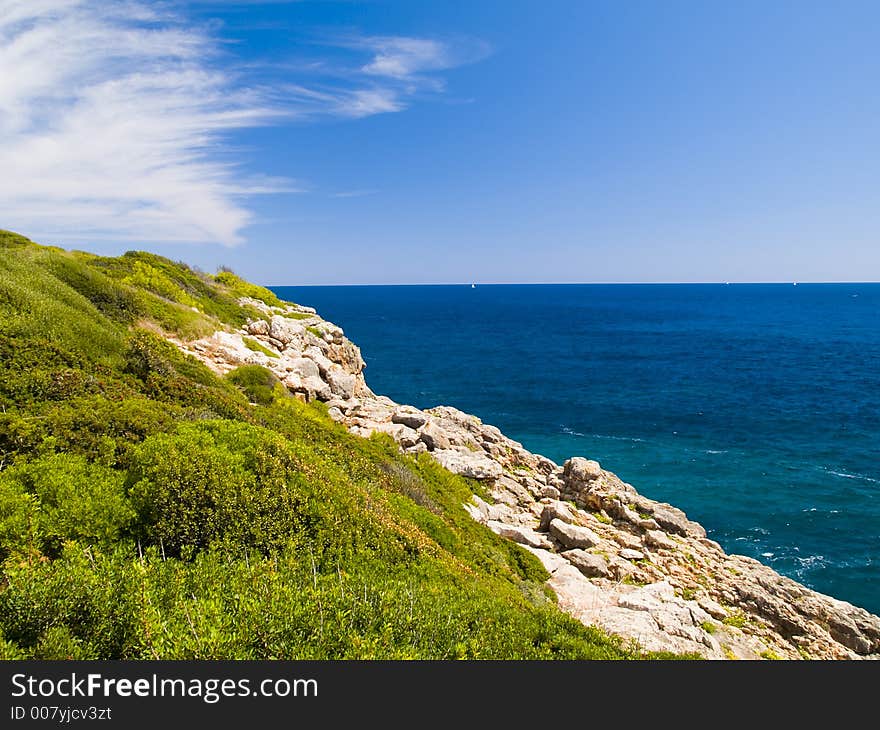 See View with rocks and plants. See View with rocks and plants