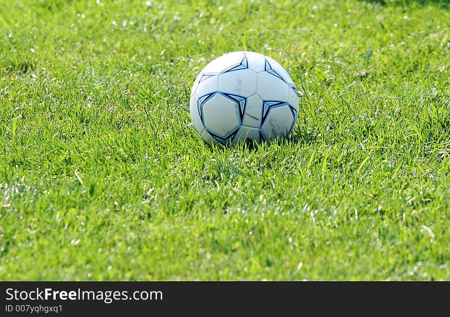 Colorful photo of a soccer ball or football in the green grass