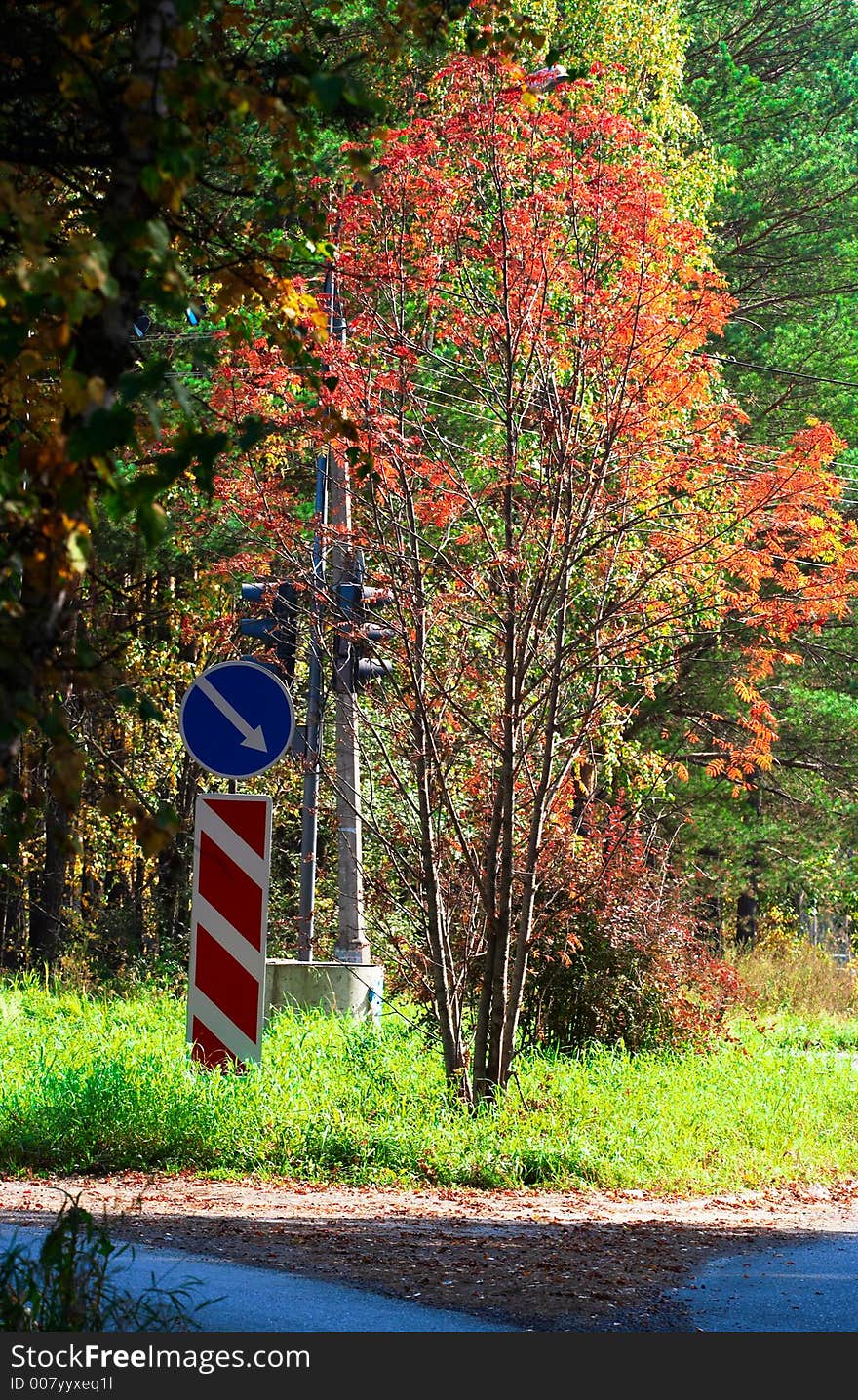 Autumn road