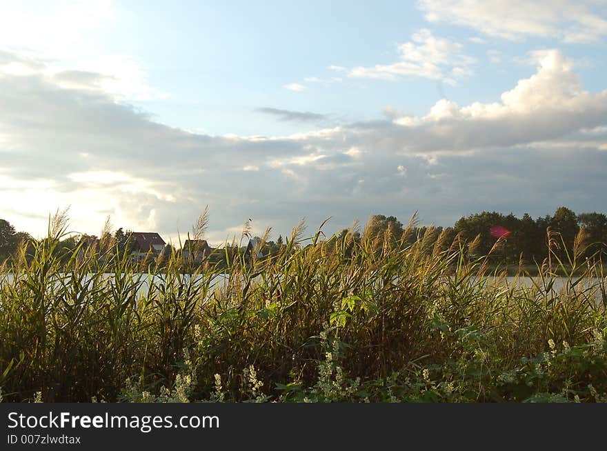 High grass at lake, sky, cloud, landscapes