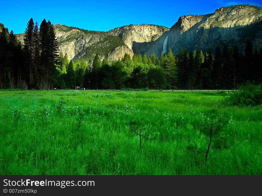 The Yosemite Valley in Yosemite National Park, California. The Yosemite Valley in Yosemite National Park, California