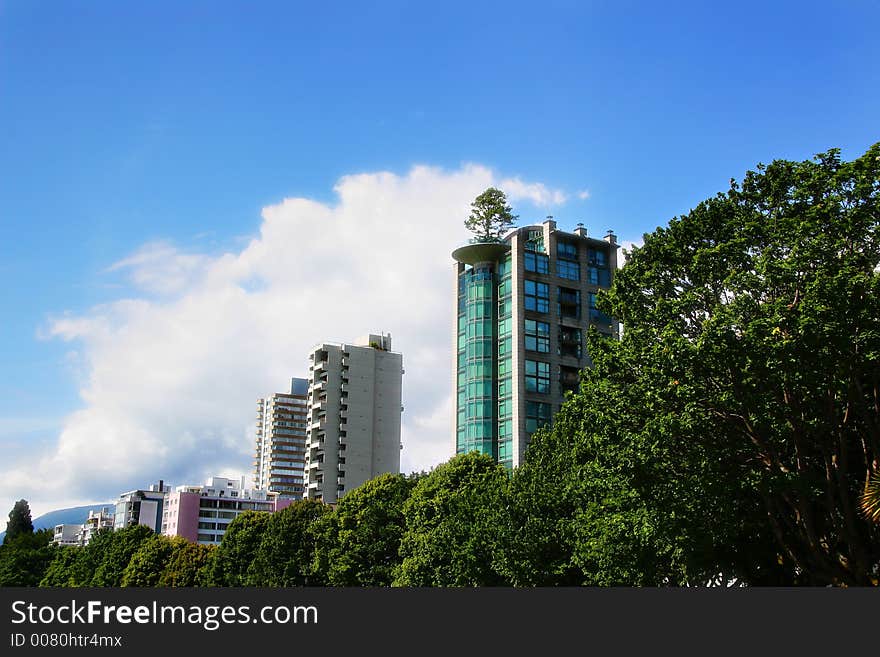 Buildings and trees with building with tree growing from roof.