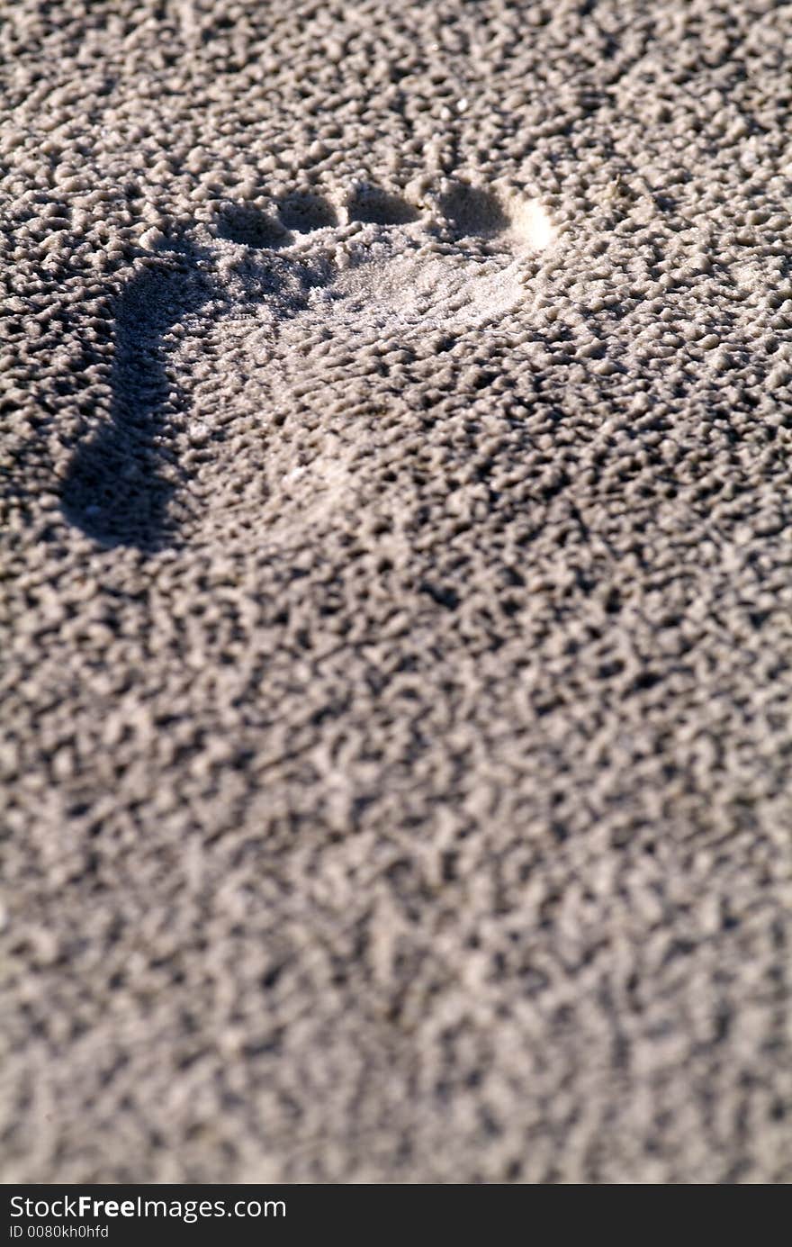 Sand footprint at the beach. Sand footprint at the beach