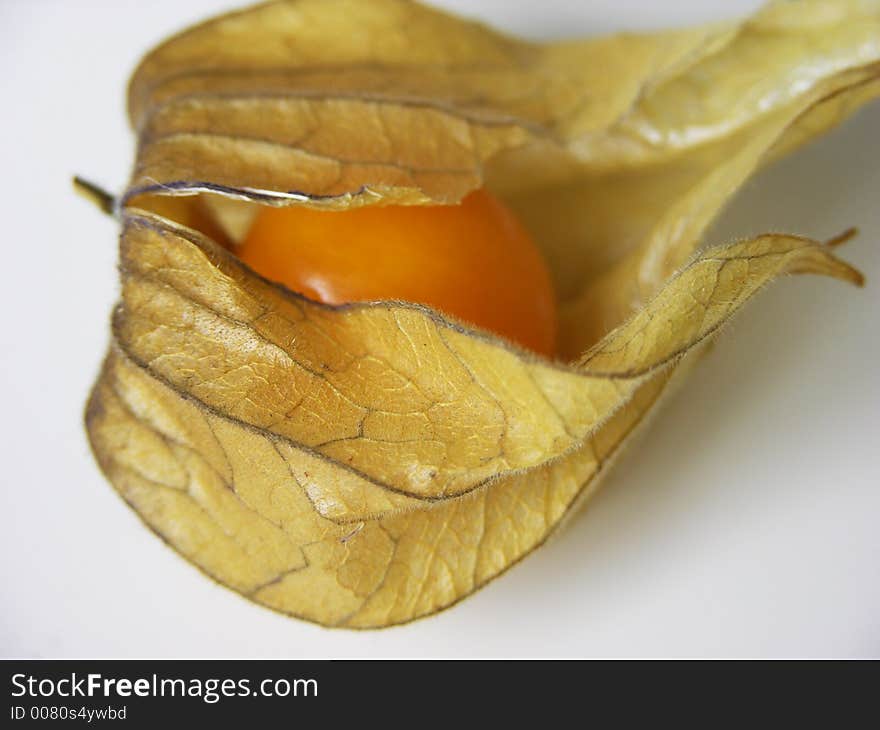 Some cape gooseberry on a white background