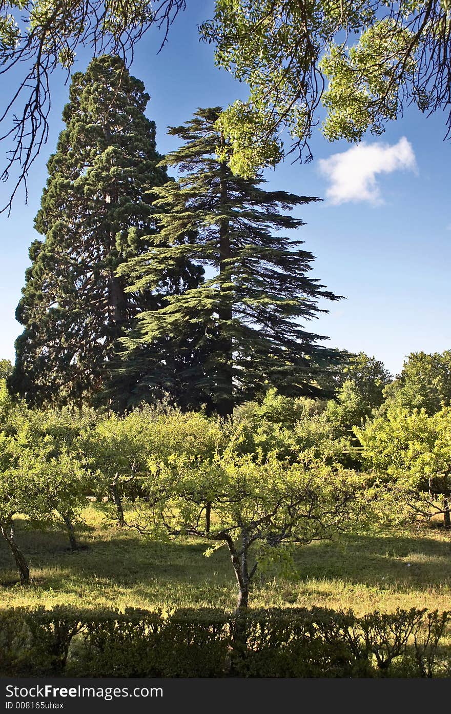 Morning in a park Escorial.