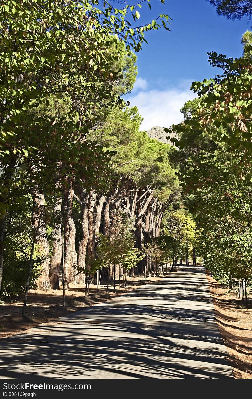 Morning in a park Escorial.