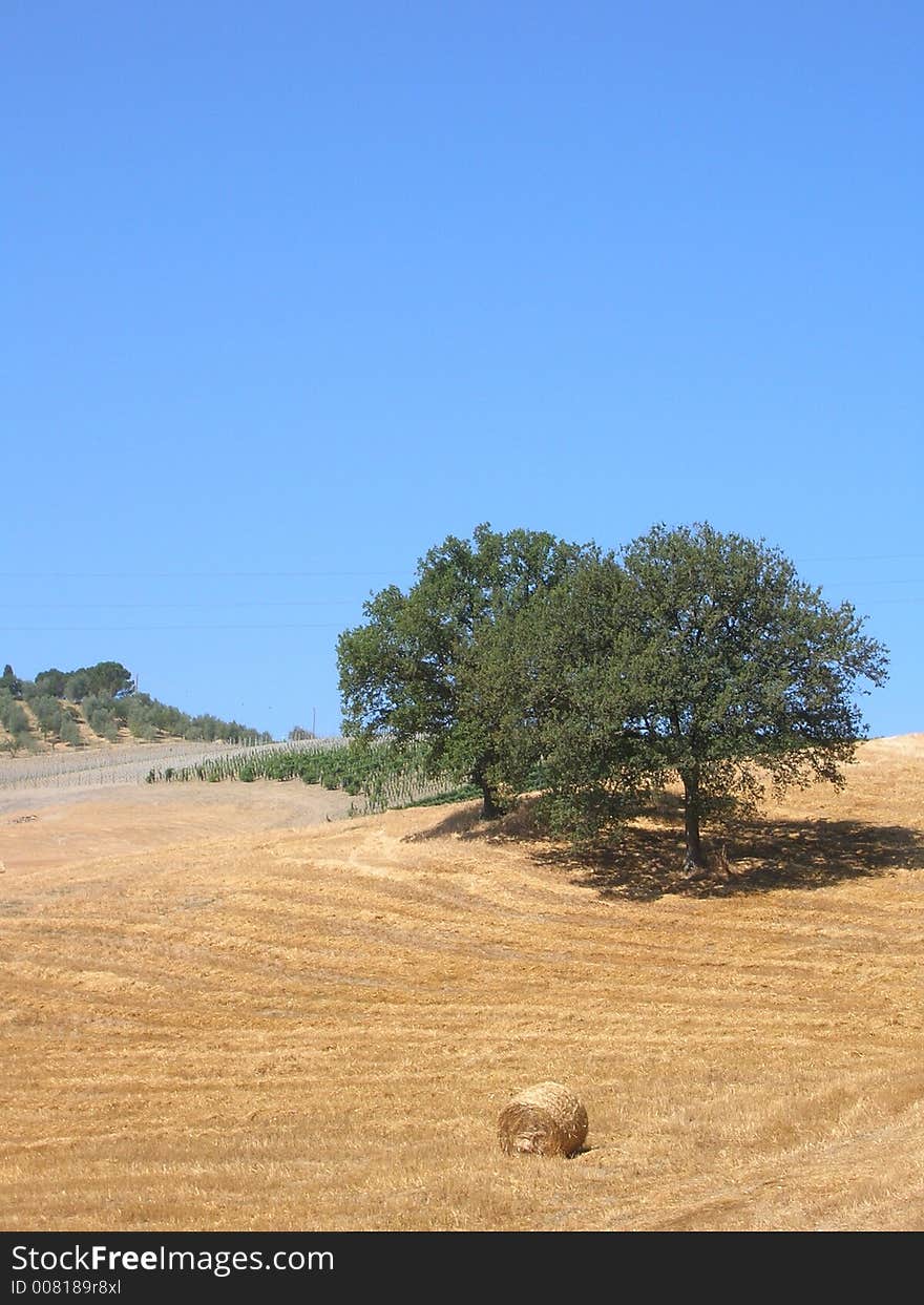 Tuscany