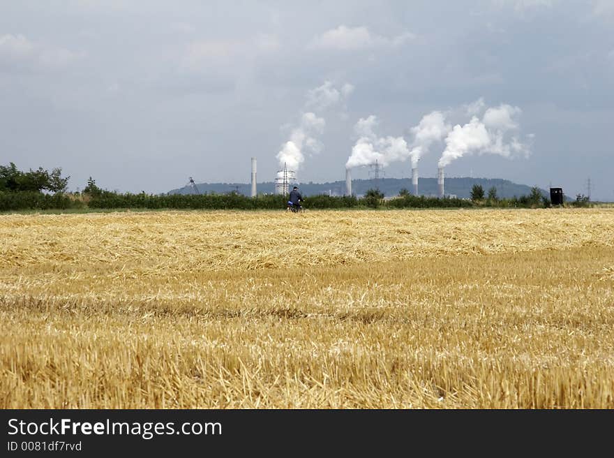 Cornfield before power station