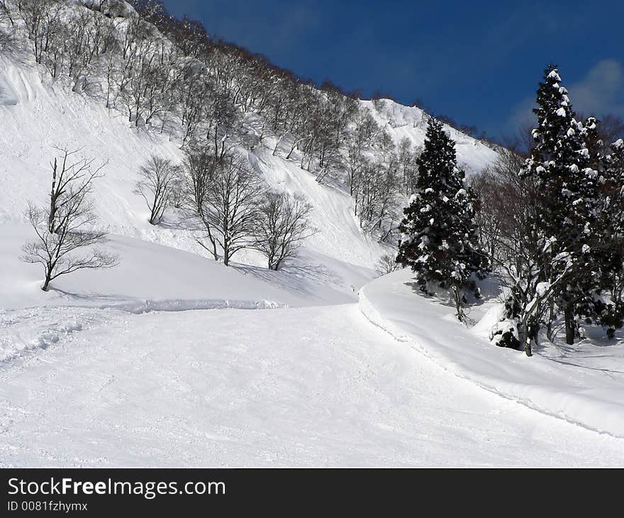 Winter Mountain Scene