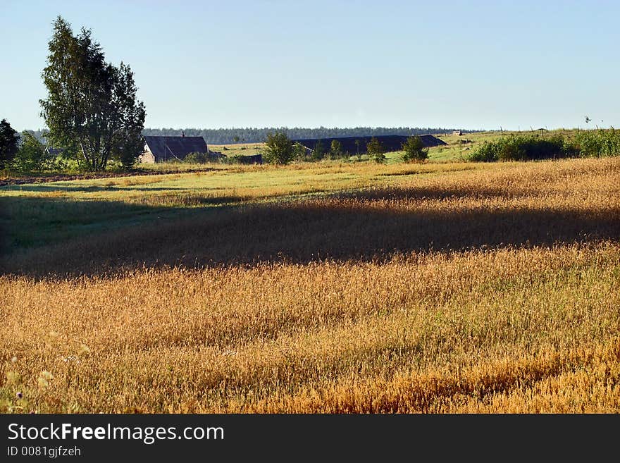 Agricultural autumn field, harvest, blue