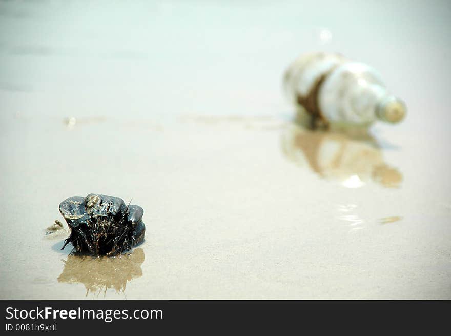 Coconut and bottle