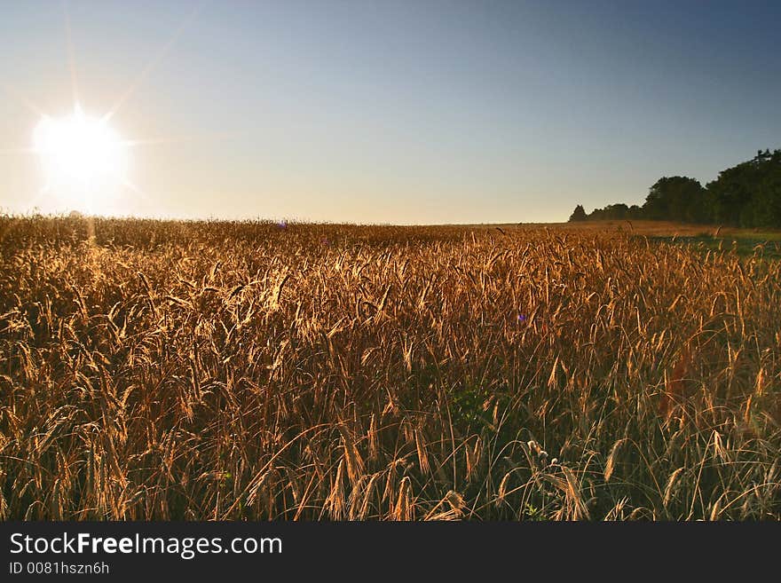 Agricultural autumn field, harvest, blue