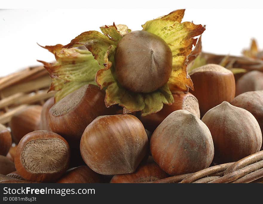 Nuts from forest ready to eat. Nuts from forest ready to eat