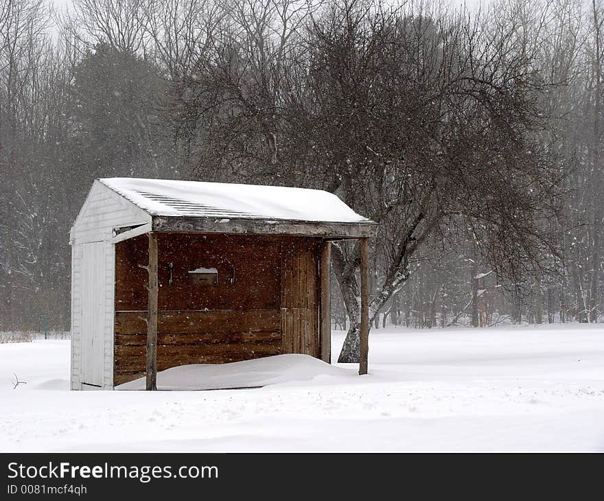 Snowy Shed