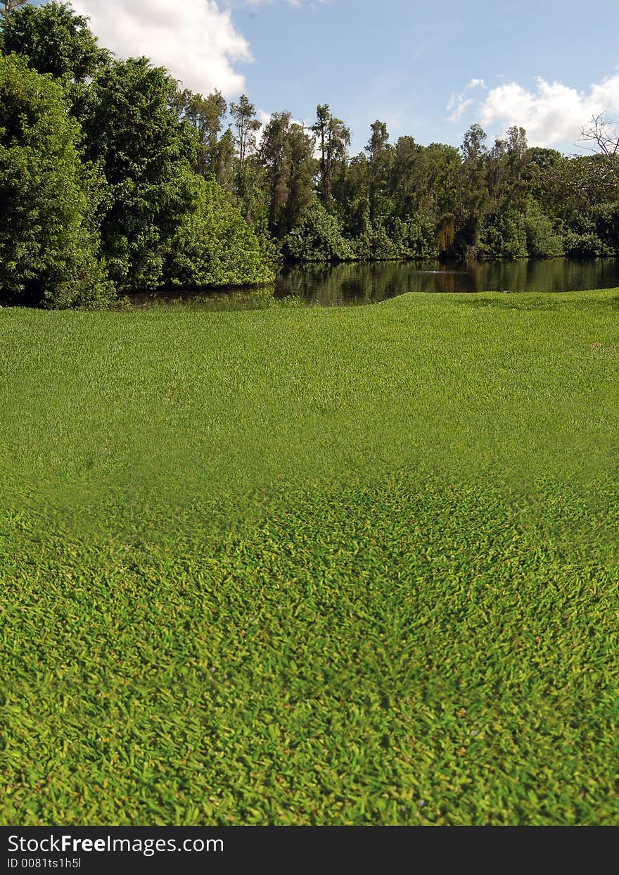 A lake view inside of a golfing community, with workers on the greens. A lake view inside of a golfing community, with workers on the greens.