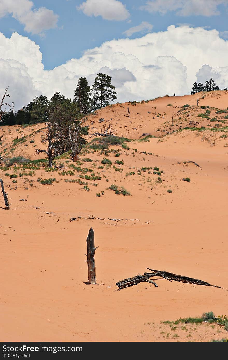 Coral pink sand dunes