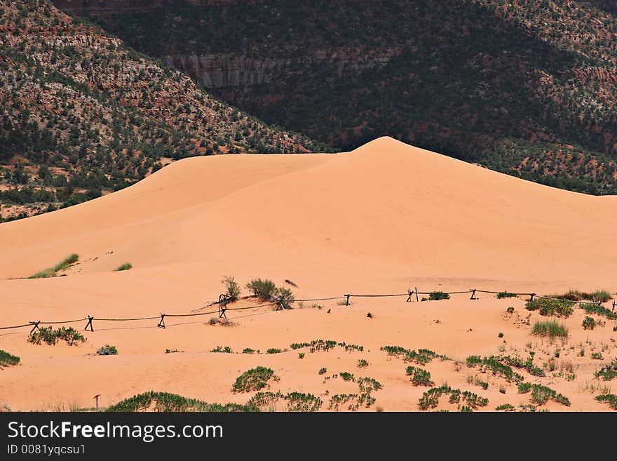 Coral pink sand dunes