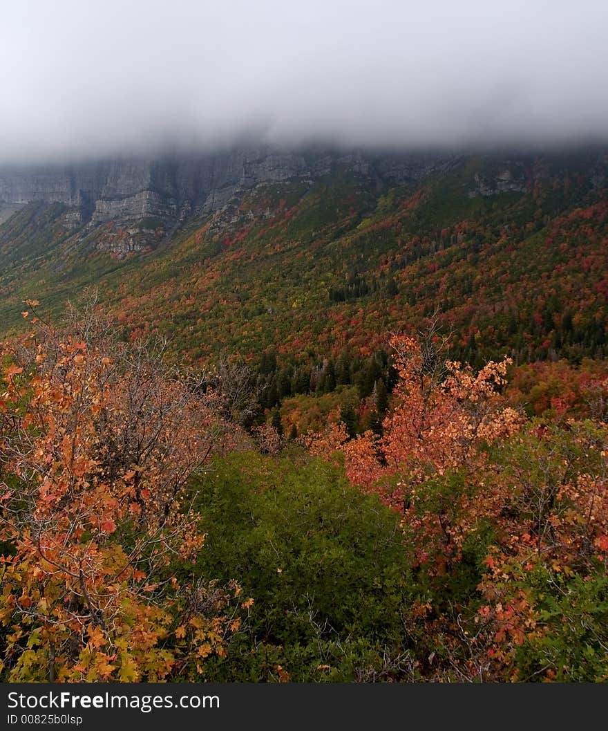 Low cloud above autumn valley