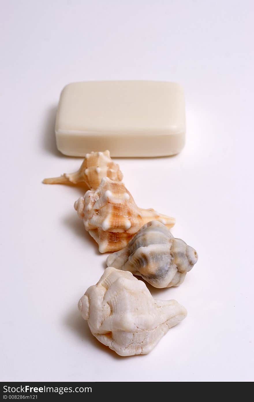 SPA Items -soap and seashell