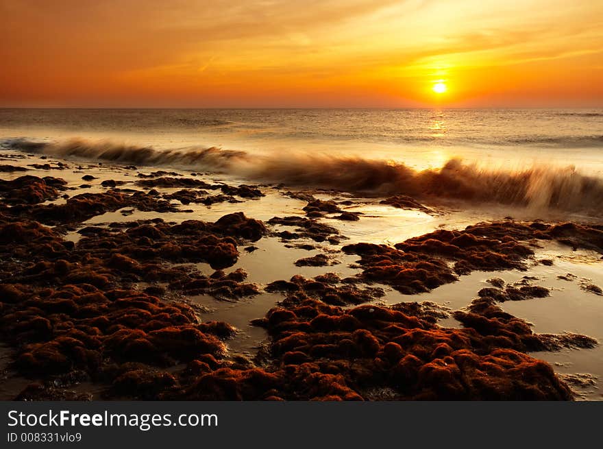 The beach at night seen through a wide angle lens. The beach at night seen through a wide angle lens