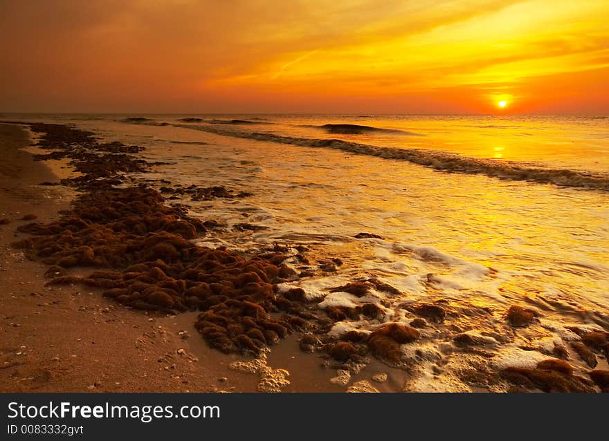 The beach at night seen through a wide angle lens. The beach at night seen through a wide angle lens